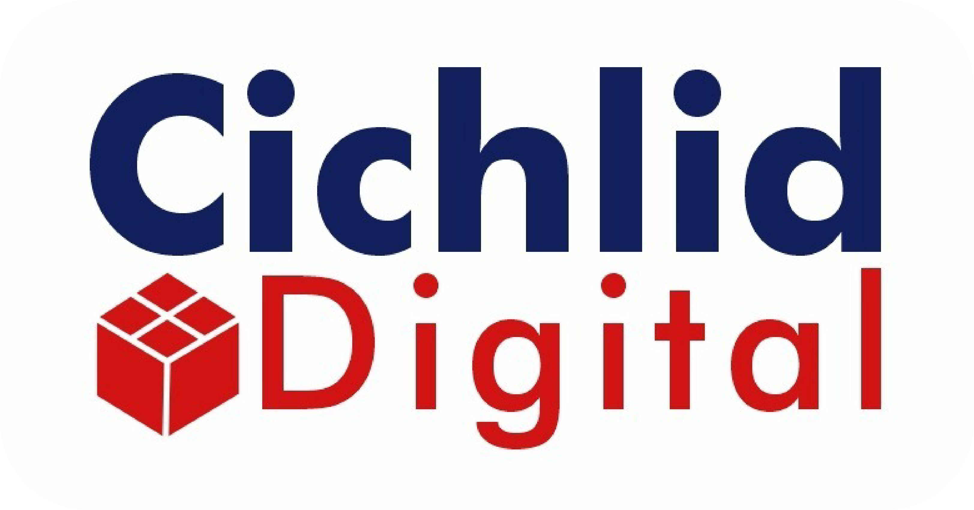 Digital Marketing Agency Noida Logo
